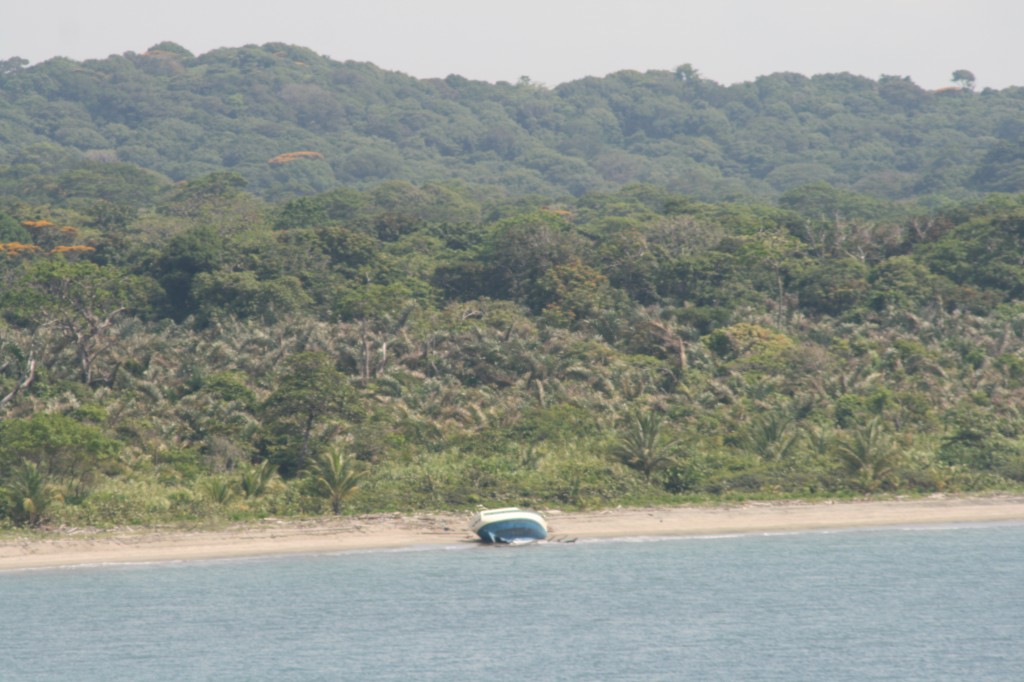 washed ashore during rainy season dam openings